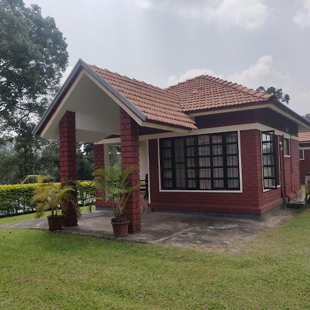 Dubare Inn Coorg Madikeri Exterior photo