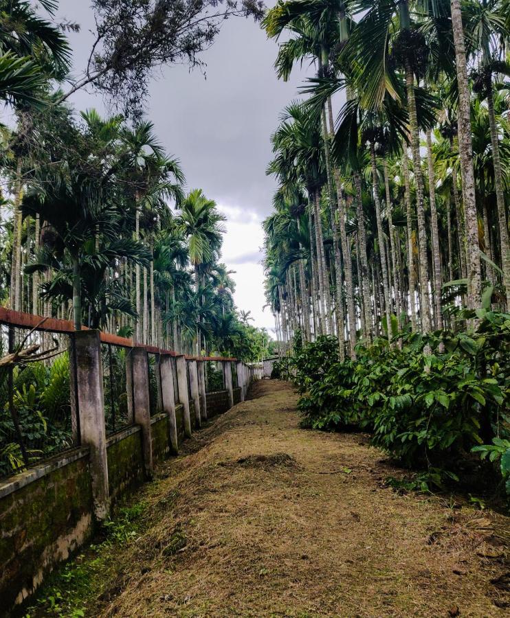 Dubare Inn Coorg Madikeri Exterior photo